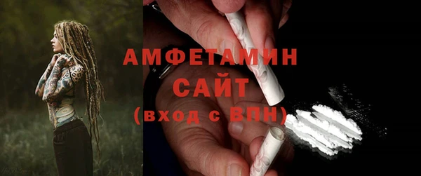 мет Алексин