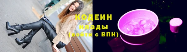эйфоретик Алзамай