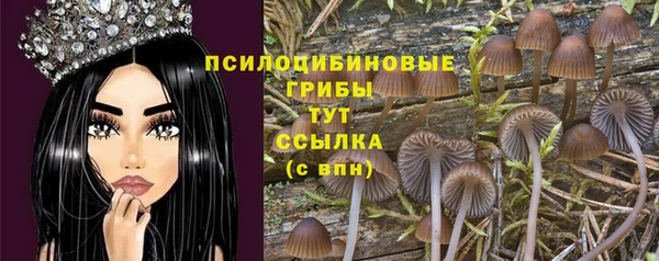мефедрон Алексеевка
