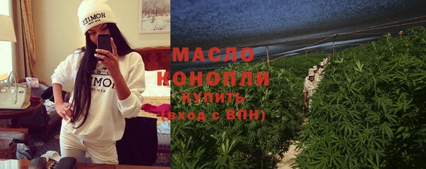 мет Алексин
