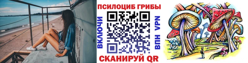 Псилоцибиновые грибы Psilocybe  Котельники 